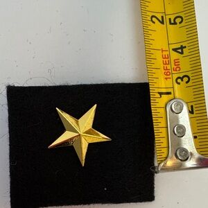Gold Star Pin